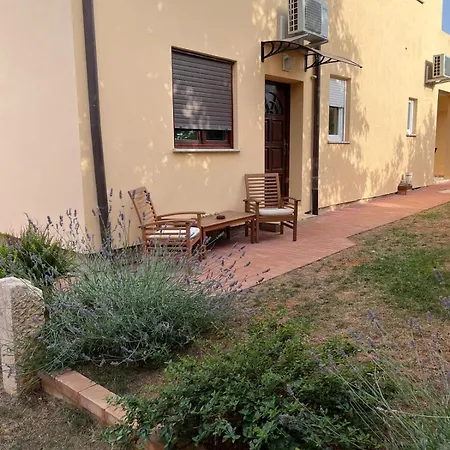 Studio Apartman San 3 Ližnjan Zimmer foto