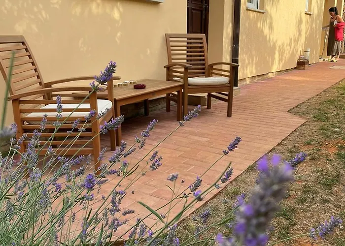 Studio Apartman San 3