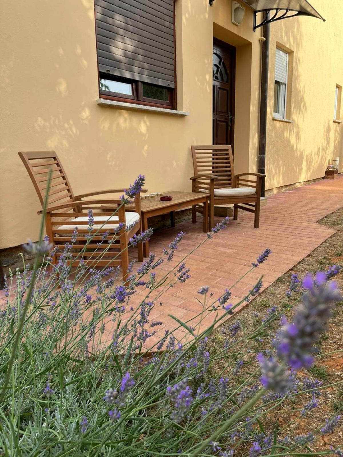 San 3 Apartment Liznjan
